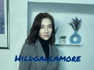 Hildgallamore