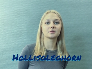 Hollisgleghorn
