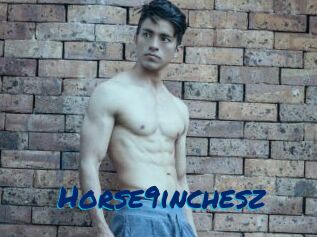 Horse9inchesz