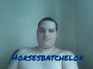Horsesbatchelor