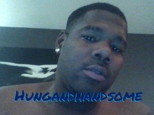Hungandhandsome