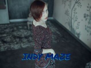 INDY_MAZE