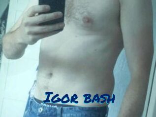 Igor_bash