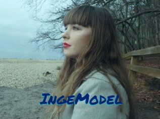 IngeModel