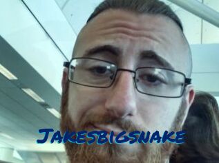 Jakesbigsnake
