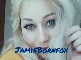JamieBornfox