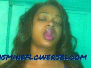 Jasmineflowersbloom