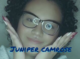 Juniper_camrose