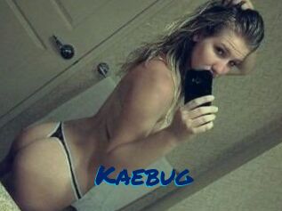 Kaebug