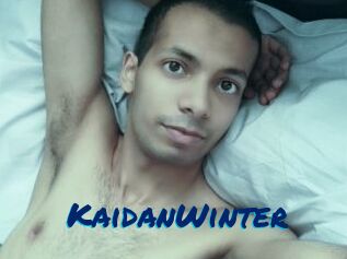 KaidanWinter