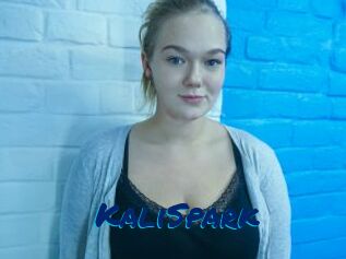KaliSpark