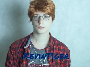 KevinTiger