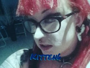 Kitten6
