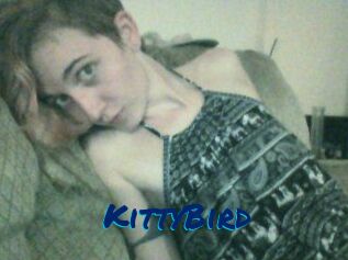 KittyBird