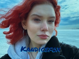 Kandicefox