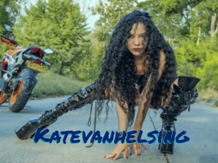 katevanhelsing Sexe City