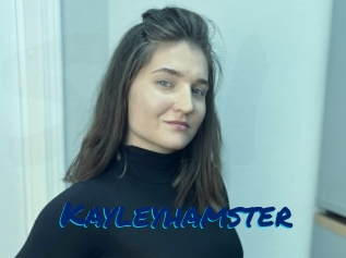 Kayleyhamster