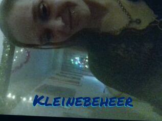 Kleinebeheer