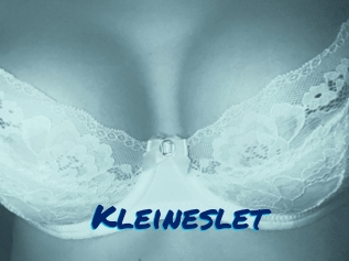 Kleineslet