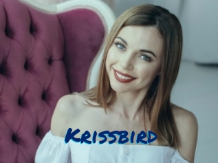 Krissbird