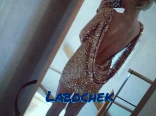 Labochek