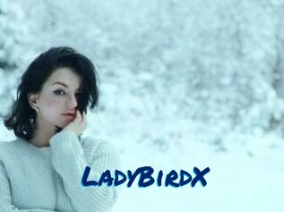 LadyBirdX
