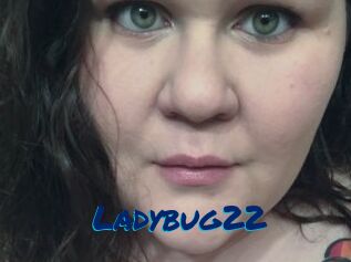 Ladybug22