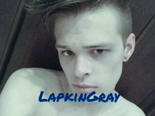 LapkinGray