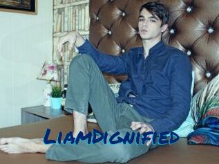LiamDignified