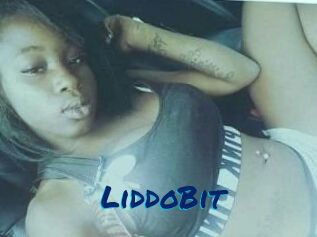 LiddoBit