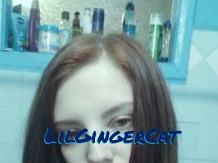 LilGingerCat