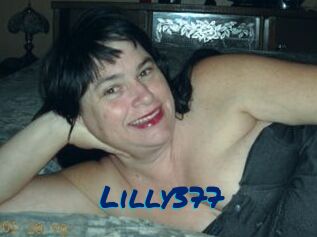 Lilly377