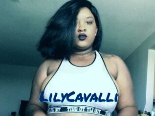 Lily_Cavalli