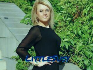 LittleSusy