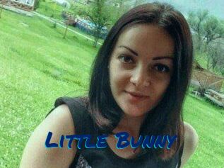 Little_Bunny_