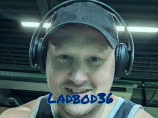 ladbod36 Sexe City