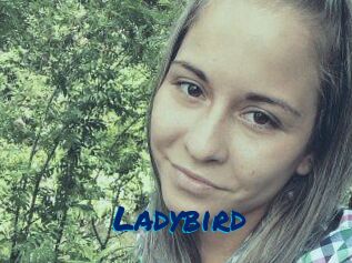 Ladybird