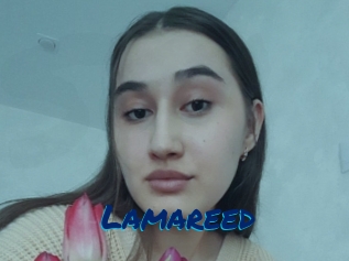 Lamareed