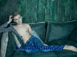 landonshaggy Sexe City