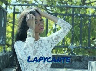 Lapycante