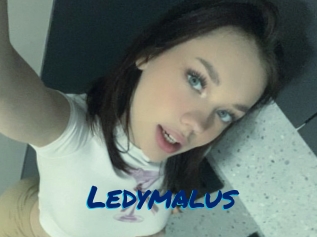 Ledymalus