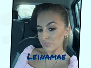 Leinamae