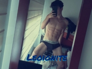 Leoignite