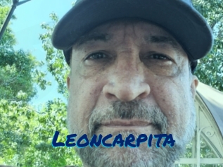 Leoncarpita
