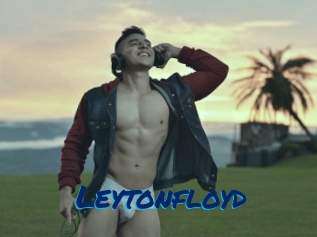 leytonfloyd Sexe City