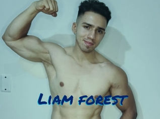 Liam_forest