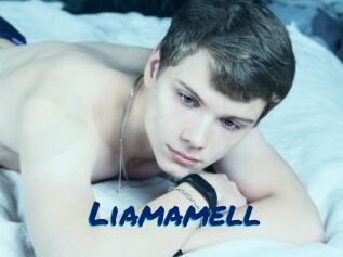 Liamamell