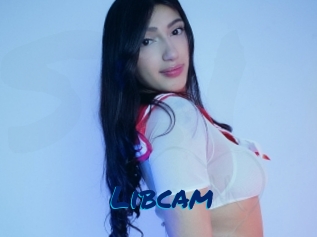 Libcam