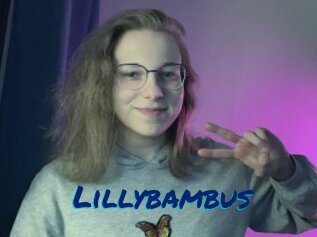 Lillybambus