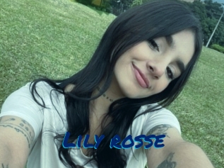 Lily_rosse
